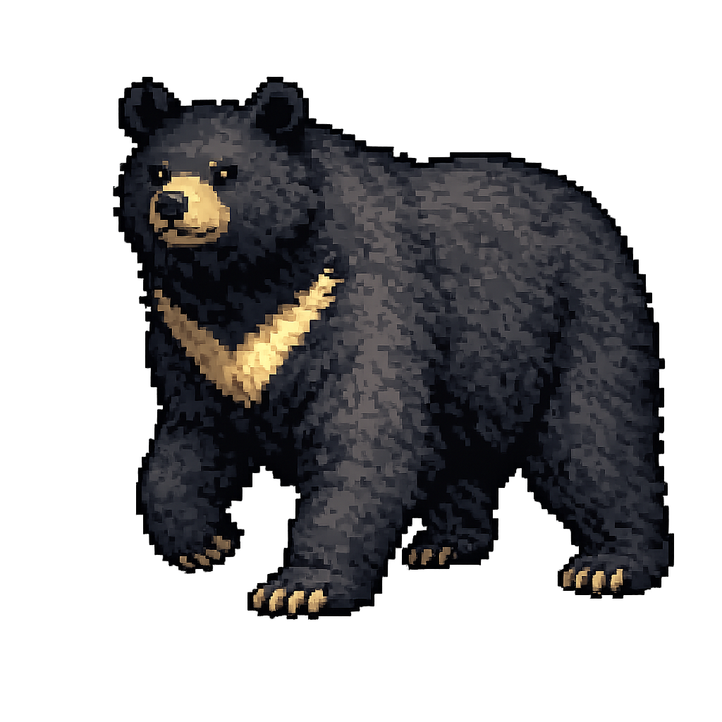 bear sprite